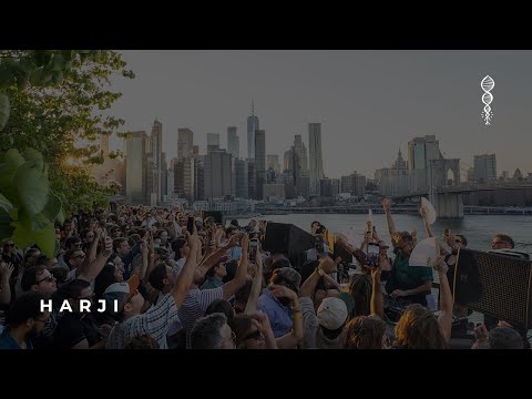 Harji for Chetana in NYC, Sunset Sessions VIII