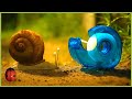 The Vegetable Garden Minuscule 20 Compilation