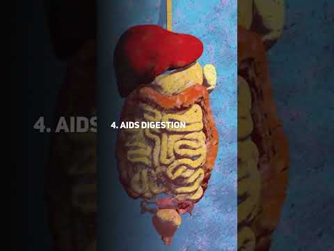 5 Benefits Of Mountain Te..