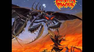 Praying Mantis - Believable