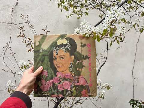 Habibi Funk // حبيبي فنك : Naarghita - Al Bint El Chalabiya (Romania, 1985)