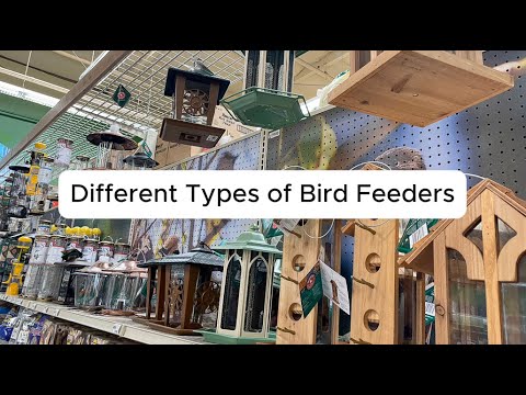 Different Types of Bird Feeders | How to Choose the PERFECT Bird Feeders for Your Garden!