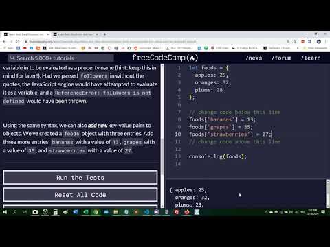 Basic Data Structures Add Key Value Pairs To Javascript Objects