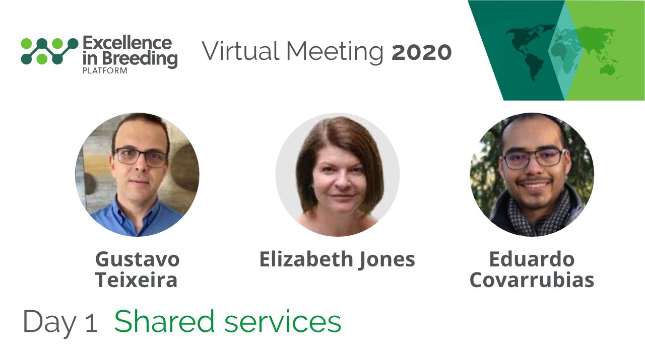 Shared services (EiB Virtual Meeting 2020)