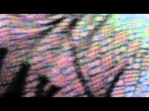 Antwerp-Getafe 3-1!!!