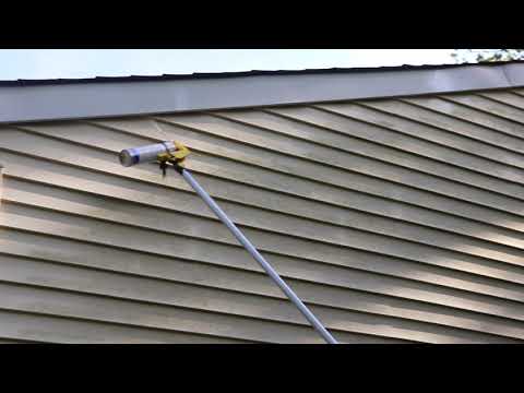 Carpenter Bees in Toms River, NJ