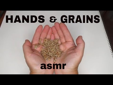 Hands That Touched Many Grains (My Grandmother's And Now Mine) | ASMR | Soft Spoken Story