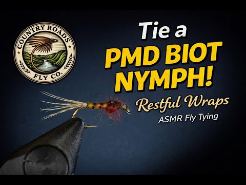 PMD Biot Nymph