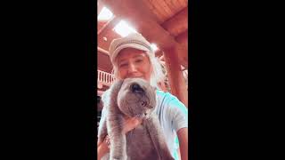 Elan | Shy Porter 17 Septiembre 2020