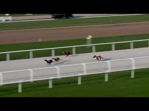 2018.09.07. Agár futam