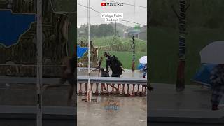 Download lagu kejar bocil pas hujan #shorts #dawangan #manggungsari mp3 Download lagu kejar bocil pas hujan #shorts #dawangan #manggungsari mp3