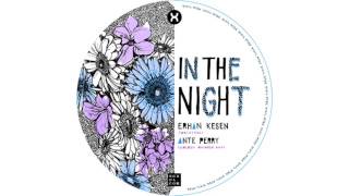 SXL004 in the night ( Ante Perry´s Golden Oktober Remix ) by suxul music