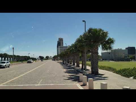 20200929 142533corpus christi