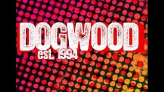 dogwood-Bury Mahoney&#39;s Baby