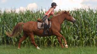 I'm never gonna let you down