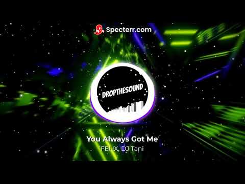 FEL!X, DJ Tani - You Always Got Me
