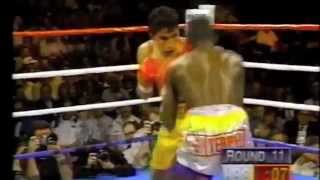 Danny Romero KO - Highlights