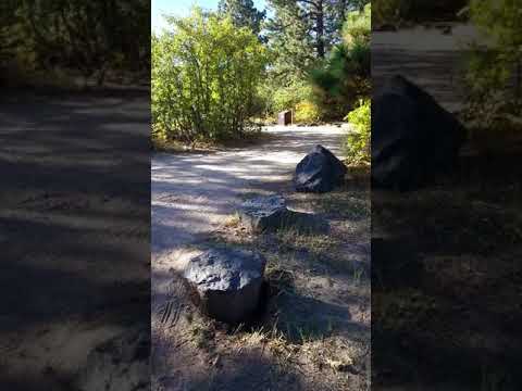 Looking around the Lava Point CG.  It's small but free!