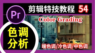 PR教程【色调分析】/暖色调/冷色调/Color Grading PR中文教学 第54集