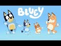 Bluey Theme Song - 10 Minute Loop! | Bluey
