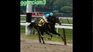 El Frenito - laberinto 2013