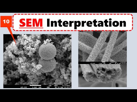 SEM Micrographs Interpretation in Experimental paper:  Scanning Electron Microscopy SEM Analysis