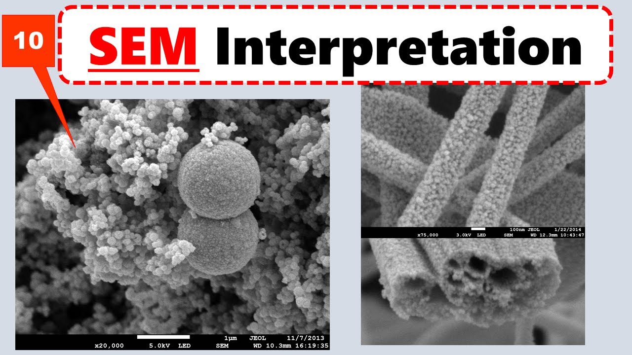 SEM Micrographs Interpretation in Experimental paper:  Scanning Electron Microscopy SEM Analysis