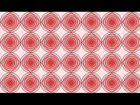 The Markley Band - Butterfly Stomp