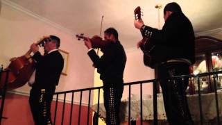 La Malaguena Mariachi AmigoZ Atlanta, GA