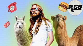 Llamasoft: The Jeff Minter Story... slaps [review]