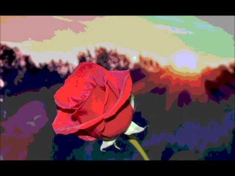 download lagu mp3 mp4 Der Mai Tritt Ein Mit Freuden, download lagu Der Mai Tritt Ein Mit Freuden gratis, unduh video klip Der Mai Tritt Ein Mit Freuden