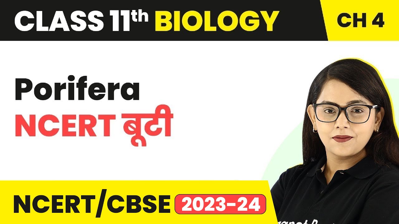 Porifera: NCERT बूटी - Animal Kingdom | Class 11 Biology Chapter 4 | NCERT/CBSE