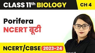 Porifera: NCERT बूटी - Animal Kingdom | Class 11 Biology Chapter 4 | NCERT/CBSE