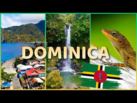 DOMINICA: This is the #1 PARADISE in the Caribbean - My BEST Video Ever!?