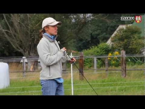 Stajnia w Czarnym Błocie - Agroturystyka cz.1