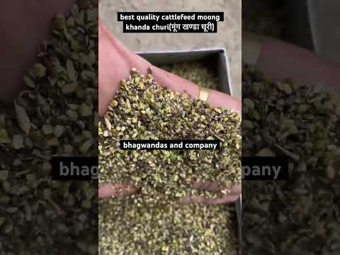 Moong tukdi kachri/ khanda churi, 50 kg