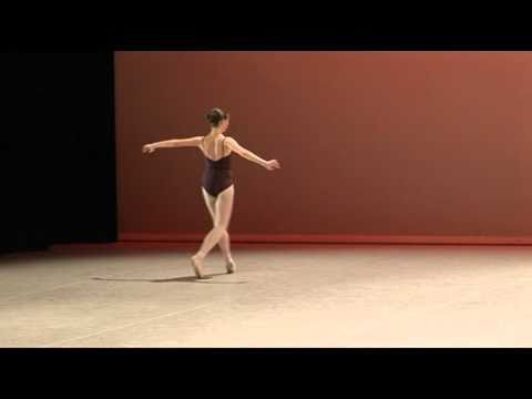 Selections 2010 - Contemporary Variation - Dominique Larose