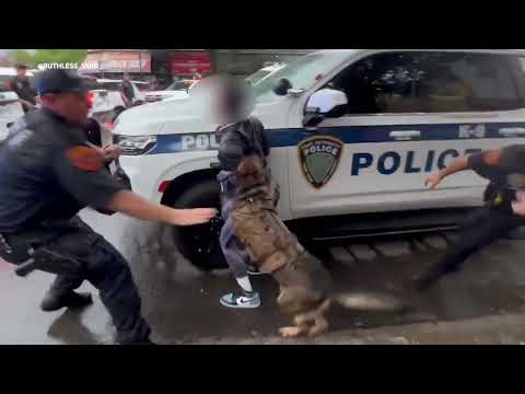 Suffolk County Police dog seen biting man at funeral for slain NYPD Detective