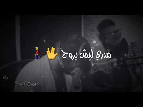 mohammadali618’s Video 148722320282 Q7jvf8JKRgo