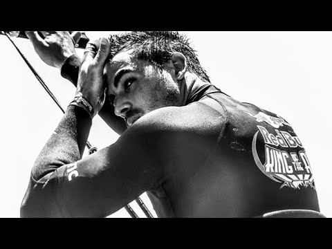 THE PRINCE'S PORTRAIT