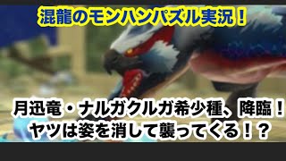 混龍のモンスターハンターパズル・アイルーアイランド実況part２５