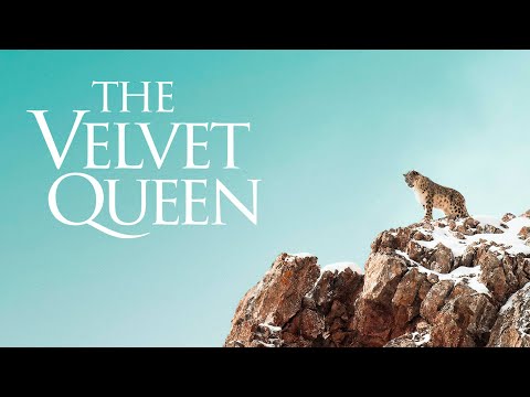 The Velvet Queen (International Trailer)