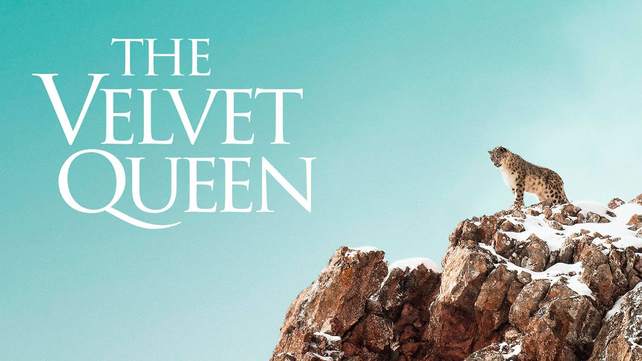 The Velvet Queen - Official Trailer - YouTube