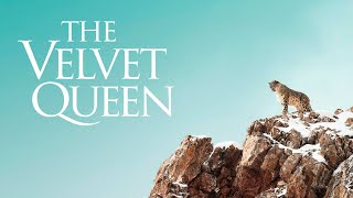 The Velvet Queen - Official Trailer