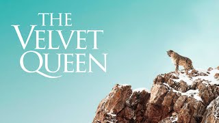 The Velvet Queen - Official Trailer - English Sub Title