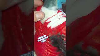 Fazendo as Dobraduras de roupa da Escultura! #escultura #arte #biscuit #artista