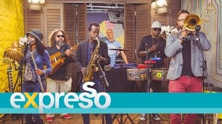 Live performance by The Spam Allstars