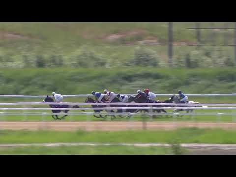 Bro Park (SWE) 16.06.19 - The UAE Embassy Trophy