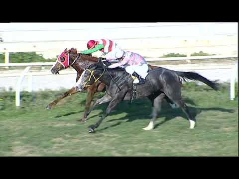 Napoli Galoppo 03/01/2023 - 2ª corsa