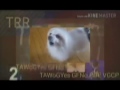 Another Klasky Csupo YTP N65 This Video Contains Content From B Viacom Who Has Block